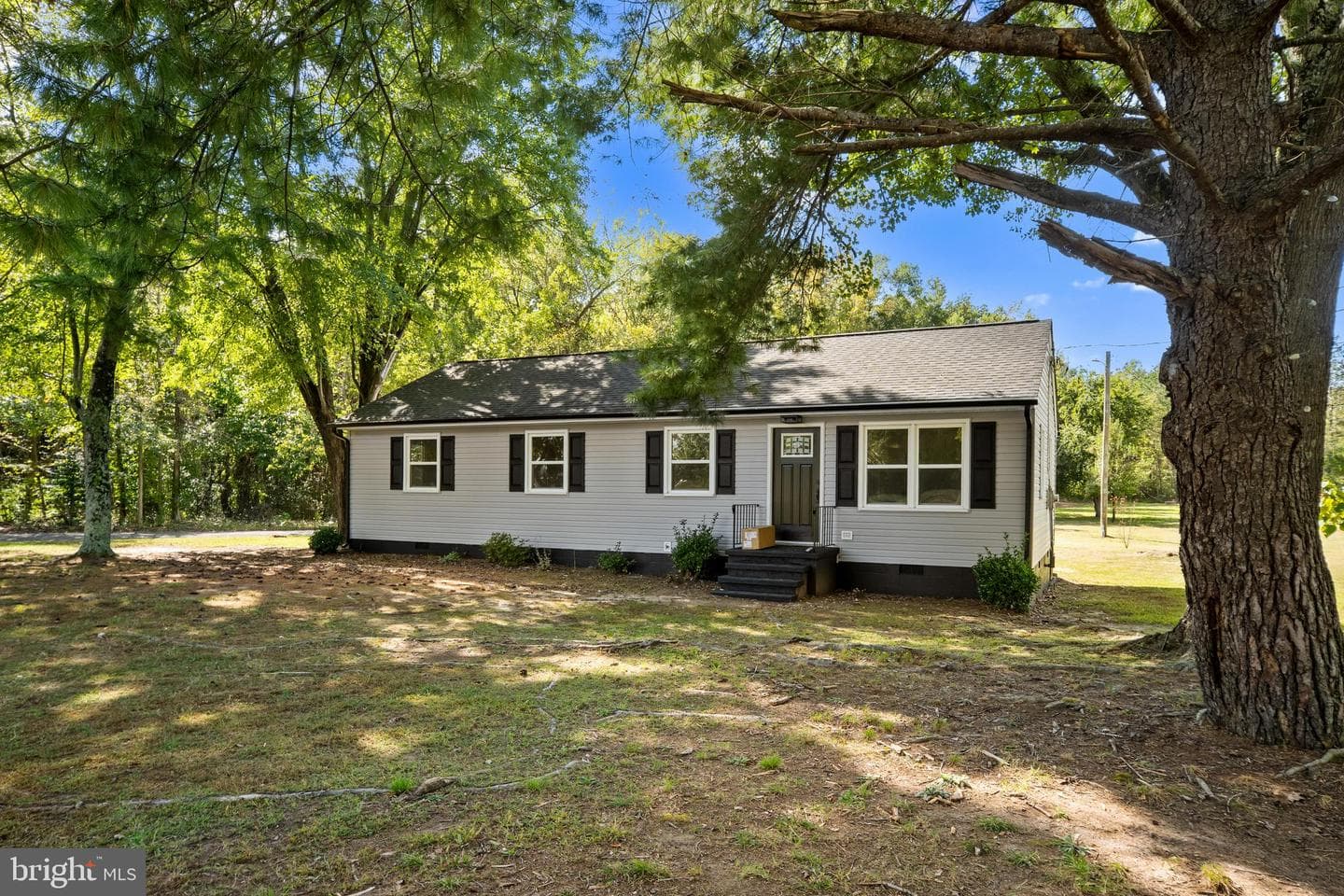 10558 Tidewater Trail photo 1