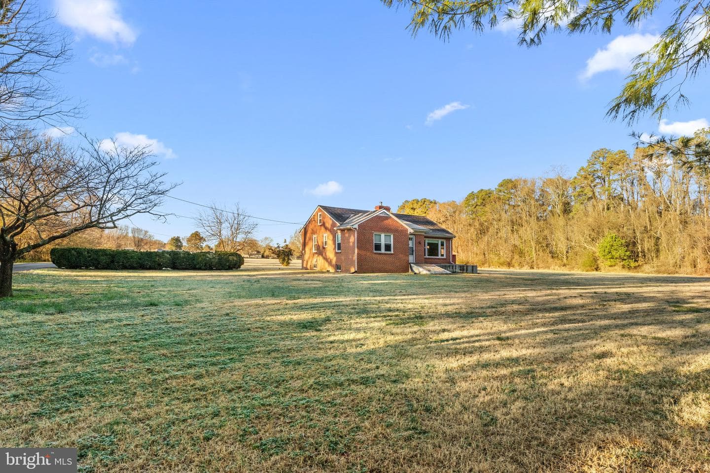 501 Essex Street photo 1