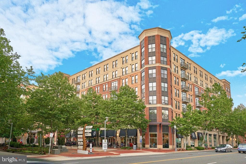 444 W Broad Street #409 photo 1