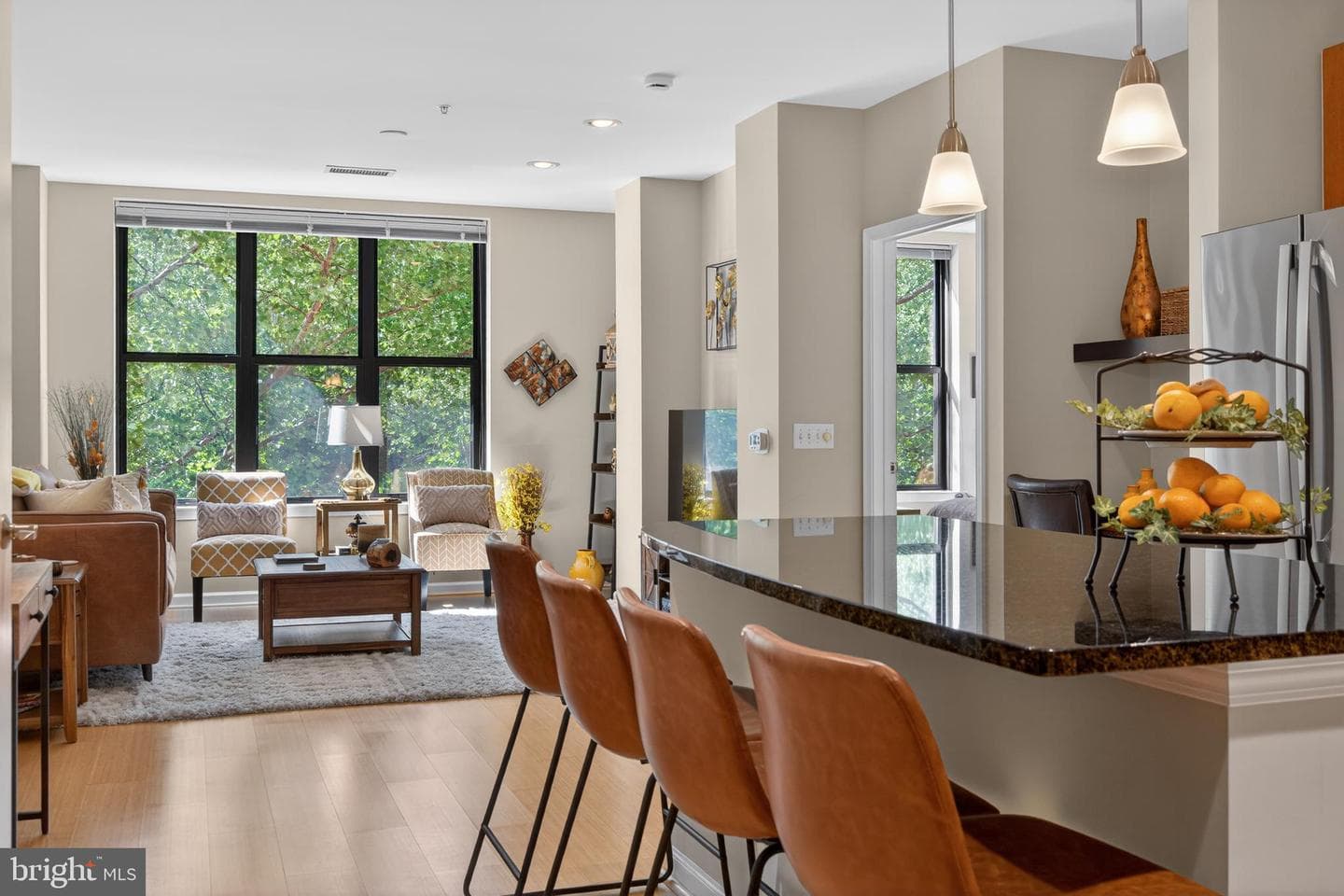 444 W Broad Street #230 photo 1