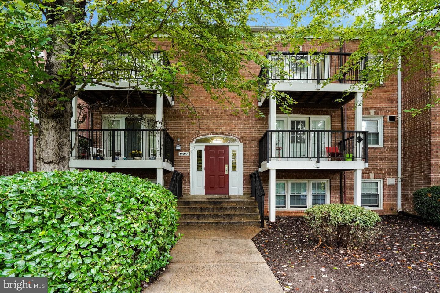 9487 Fairfax Boulevard #303 photo 1