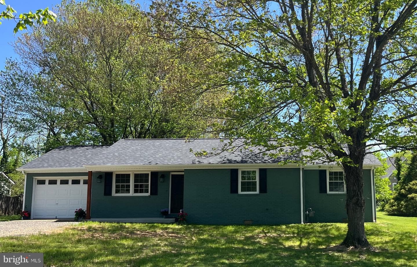 377 Cleveland Street photo 1