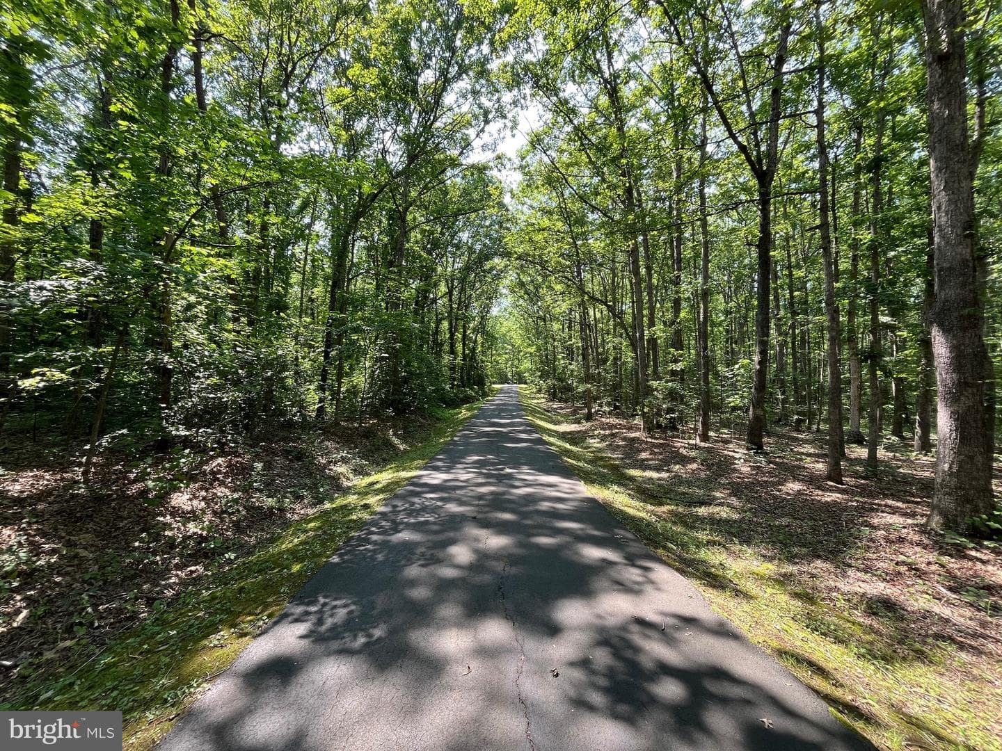 11459 Bristersburg Road photo 1