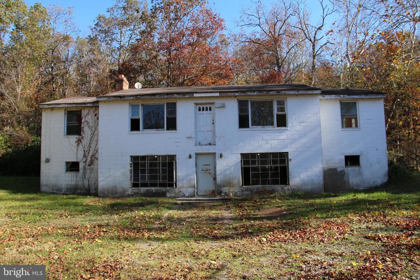 859 Brush Creek photo 1