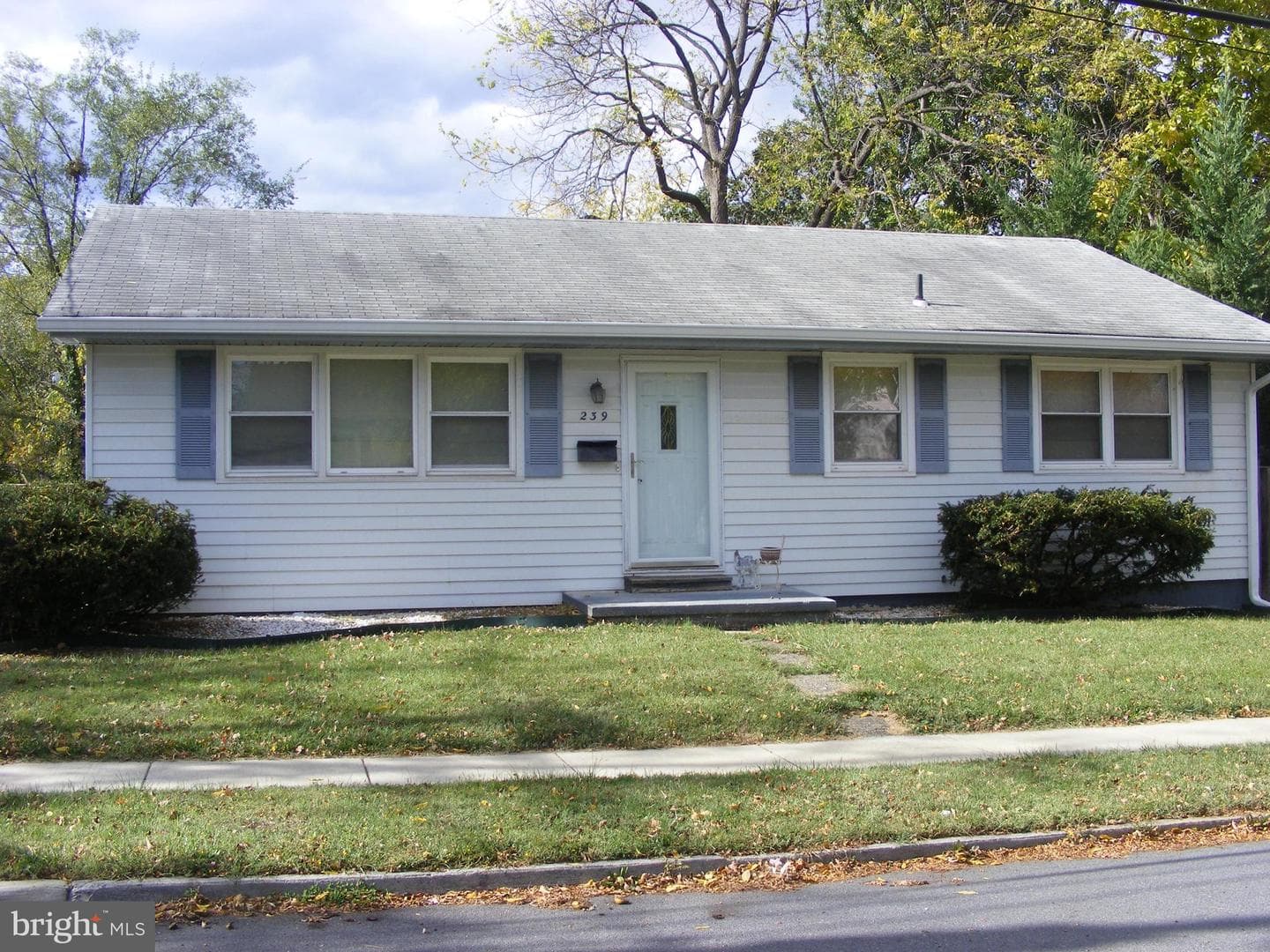 239 Chestnut Street photo 1