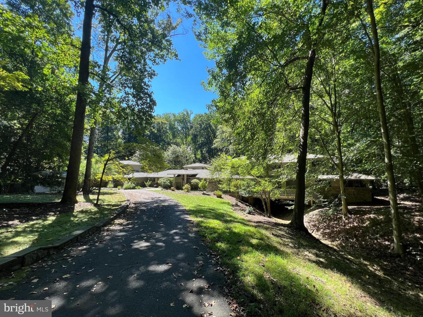 9561 Bell Drive photo 1