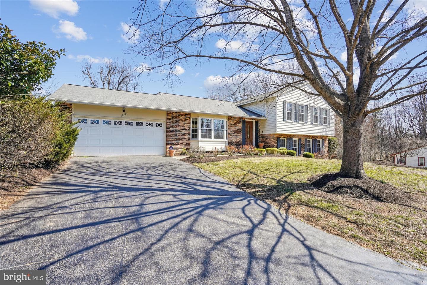 10525 Brevity Drive photo 1