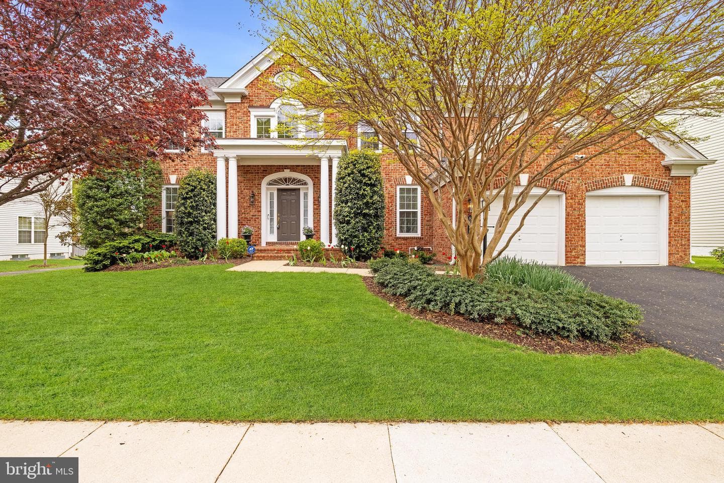 8167 American Holly Road photo 1