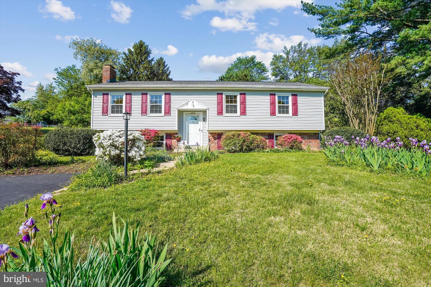 4509 Dartmoor Lane photo 1