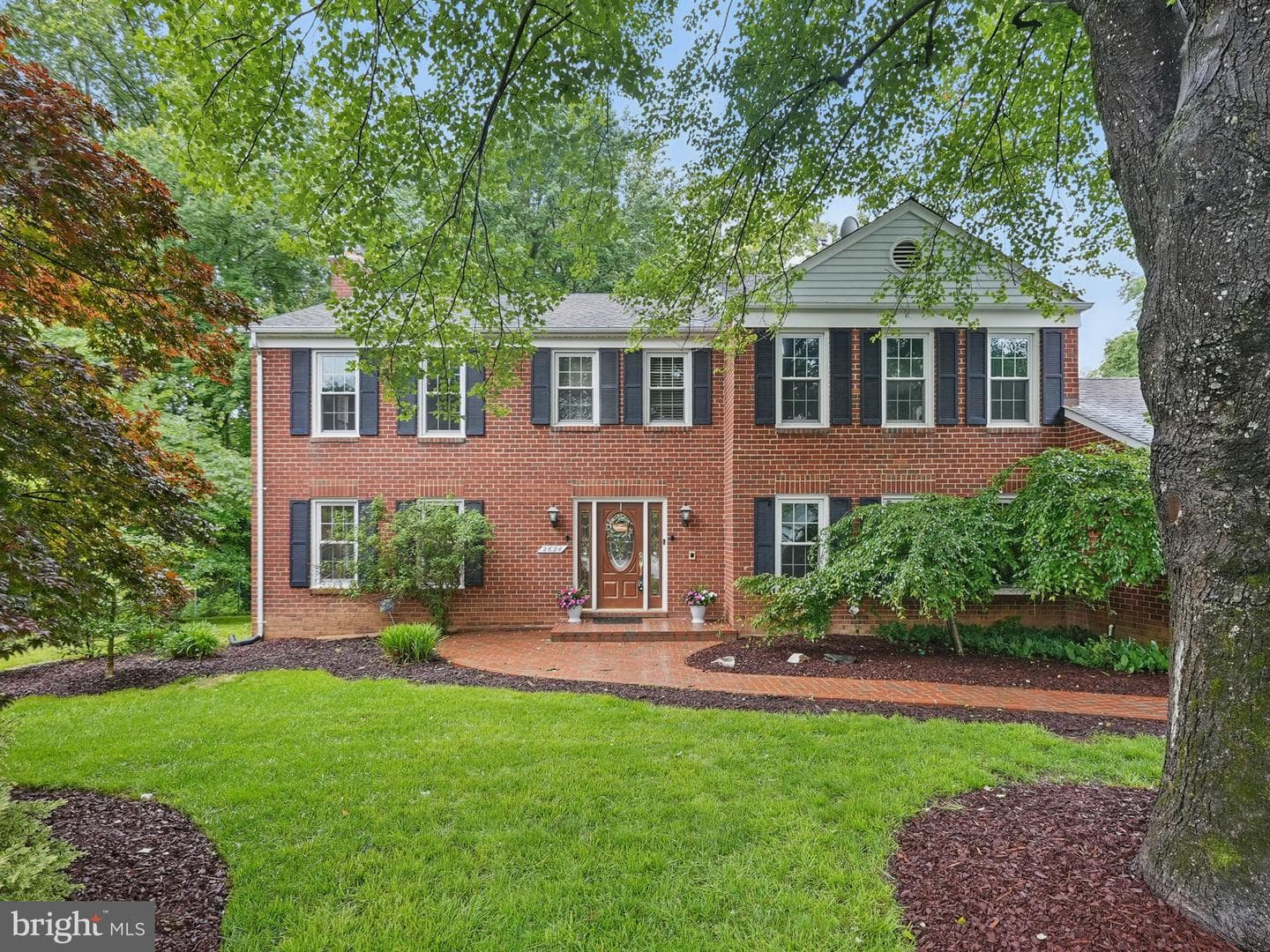 2624 Black Fir Court photo 1
