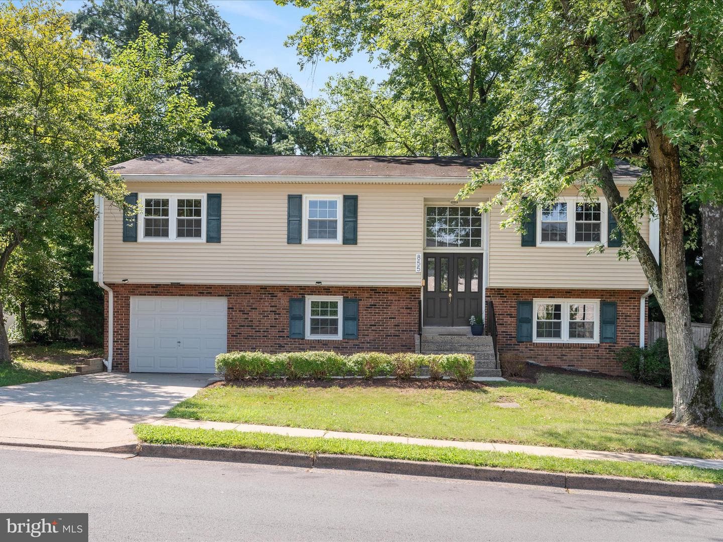 855 Park Avenue photo 1