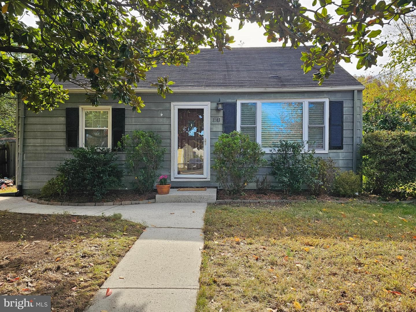 3203 Elmwood Drive photo 1