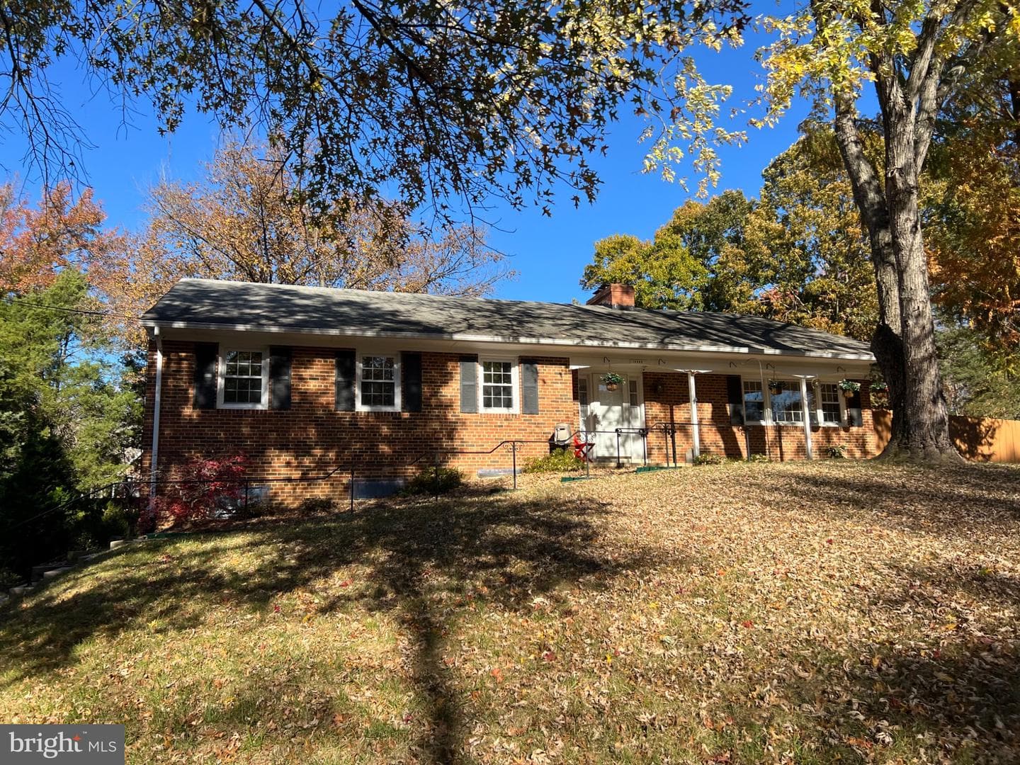 10923 Belmont Boulevard photo 1