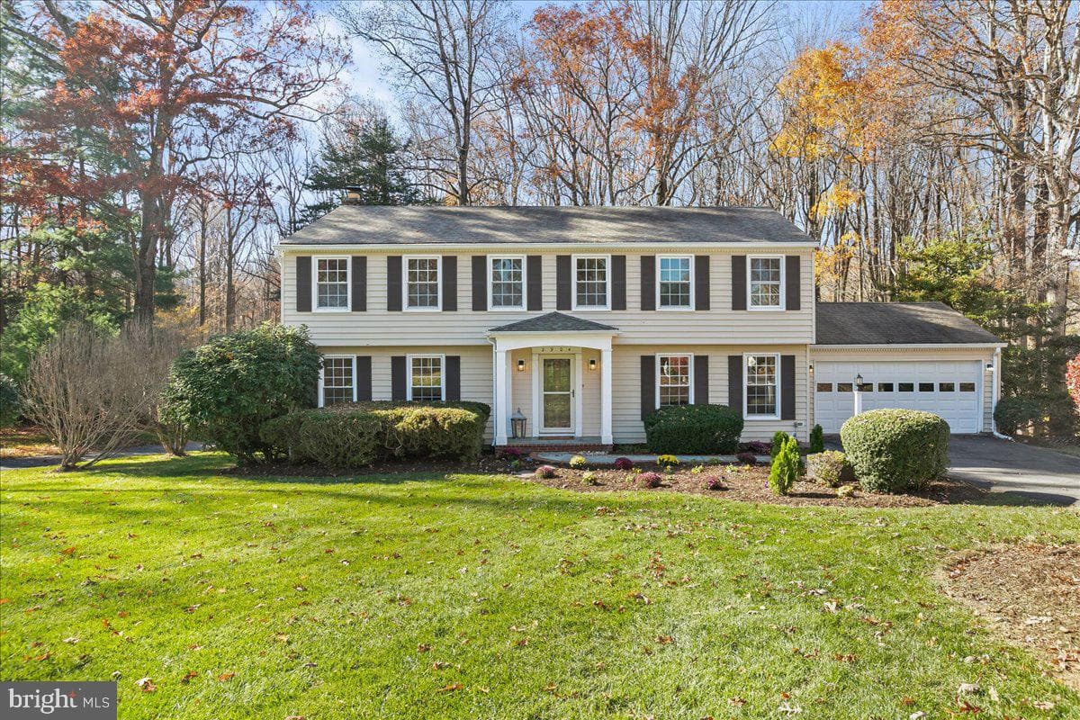 2904 Blue Robin photo 1
