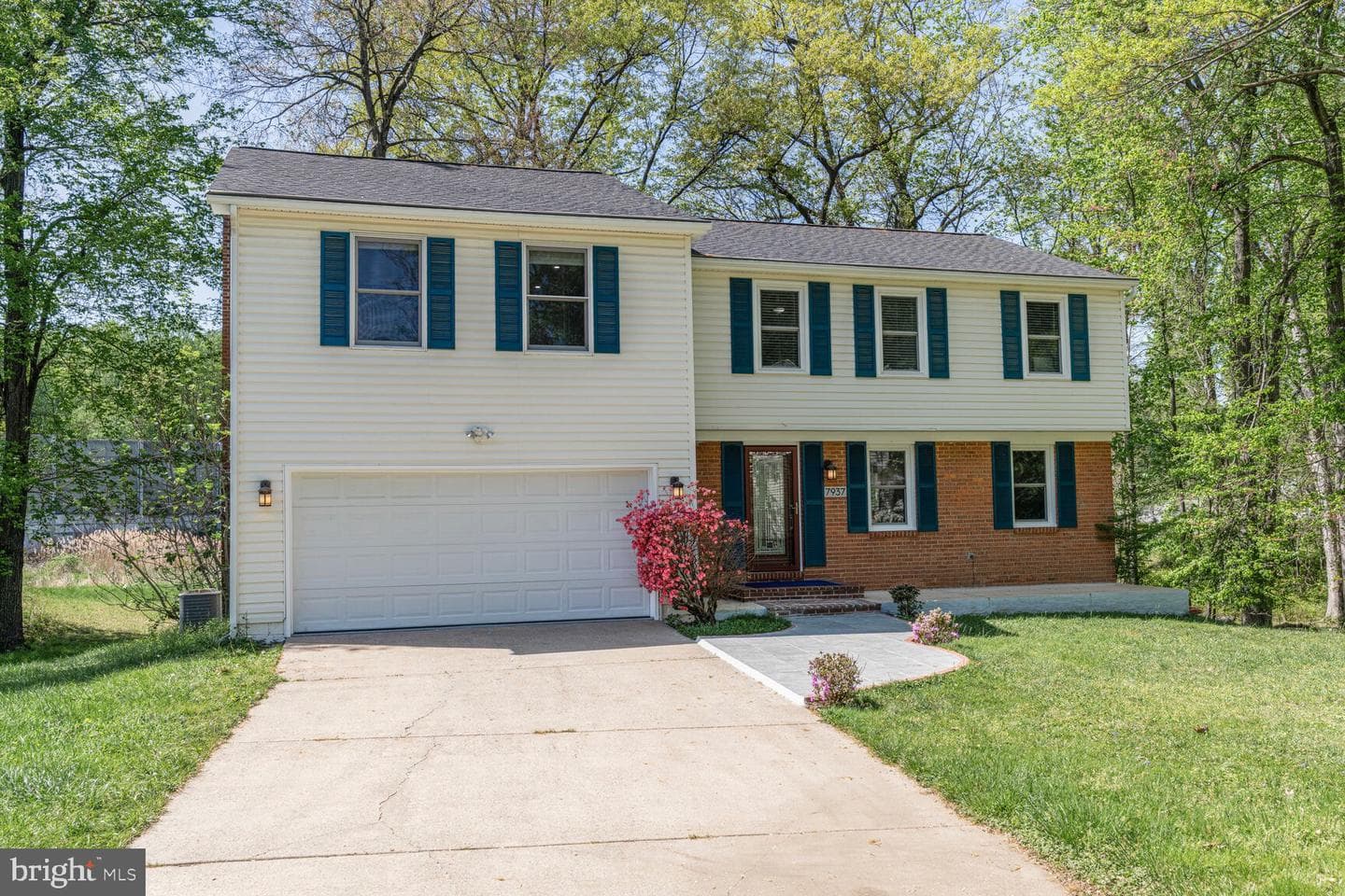 7937 Freehollow Drive photo 1