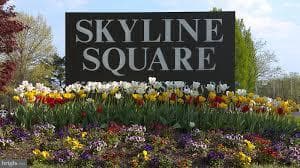 5505 Seminary Road #1414n