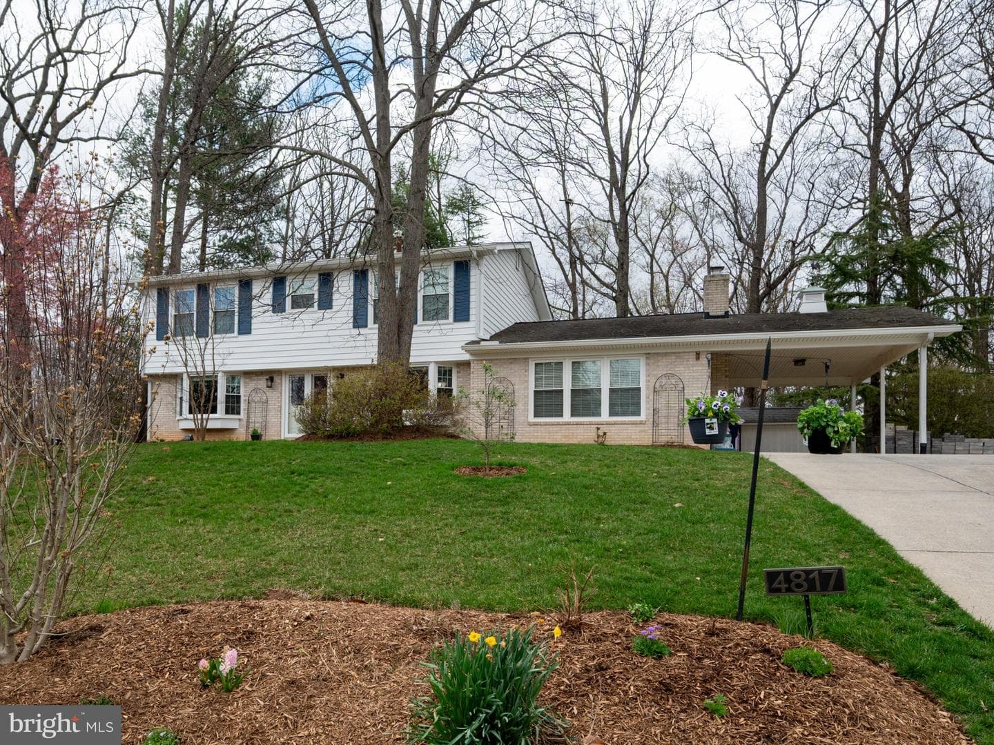 4817 Dodson Drive photo 1