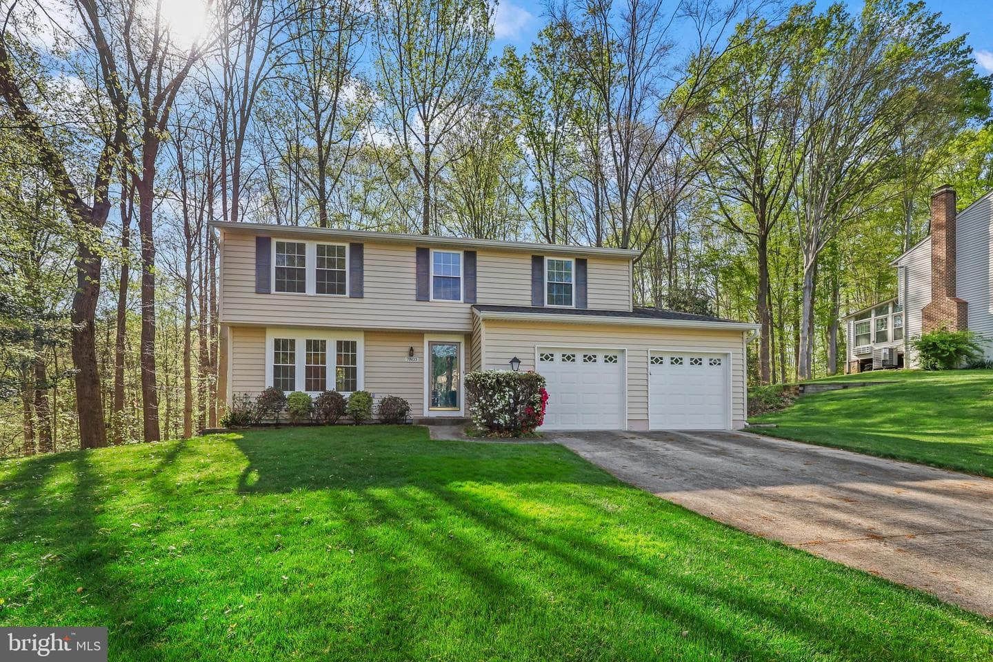 7803 Roundabout Way photo 1