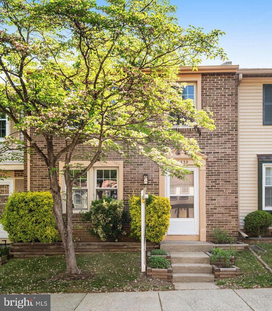 8339 Bark Tree Court