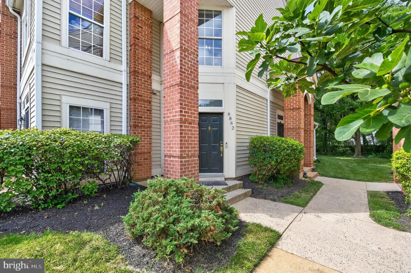 6862 Brindle Heath Way #202