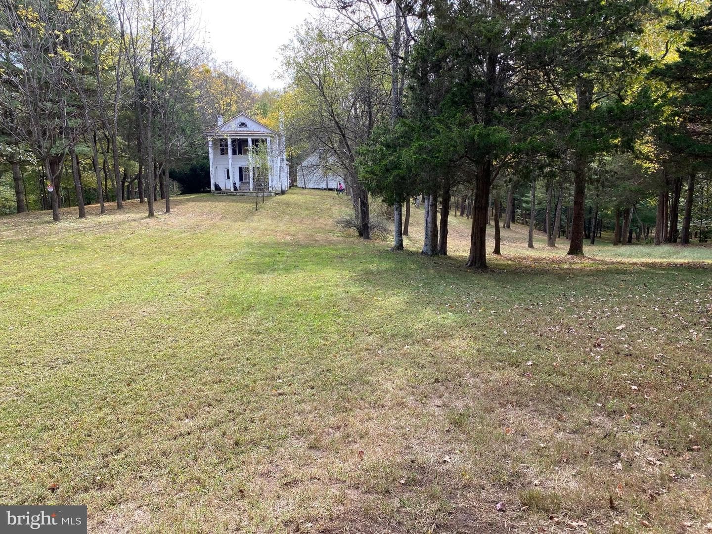 2202 Belvedere Drive photo 1