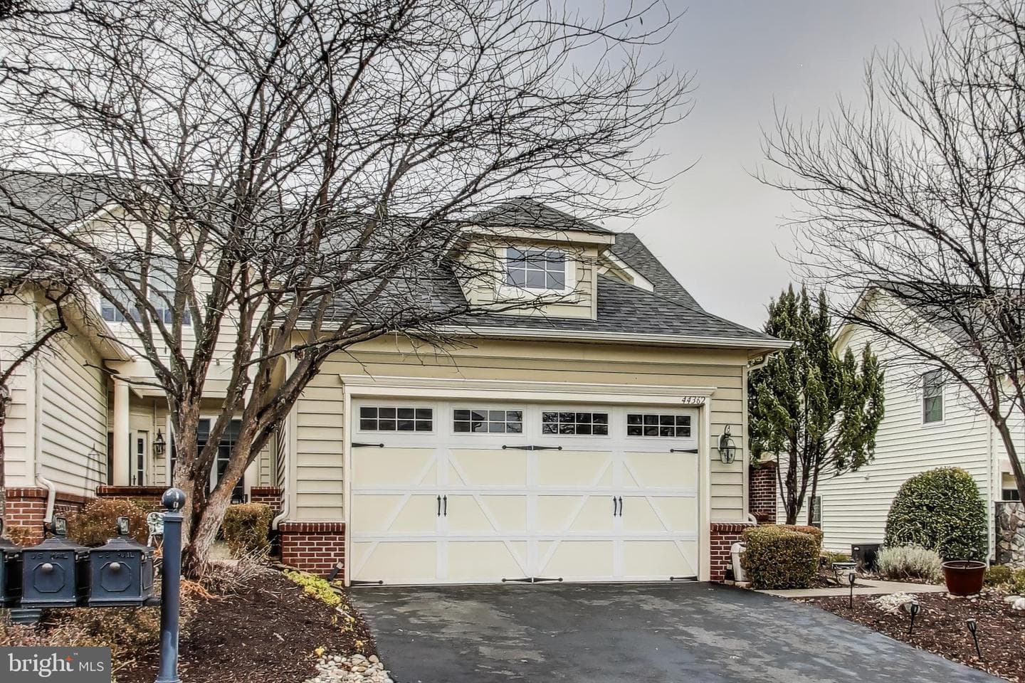 44362 Maltese Falcon Square photo 1