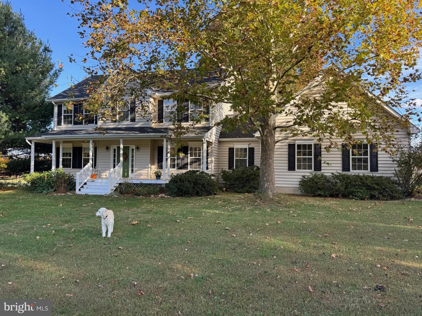 12380 Mountain Road photo 1