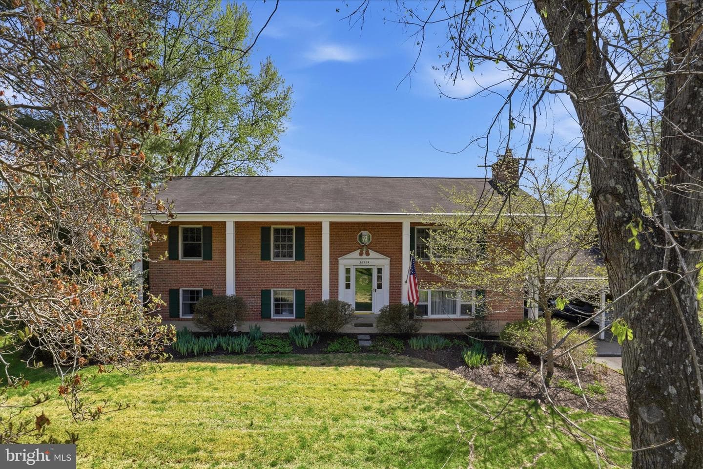 36929 Basswood Court