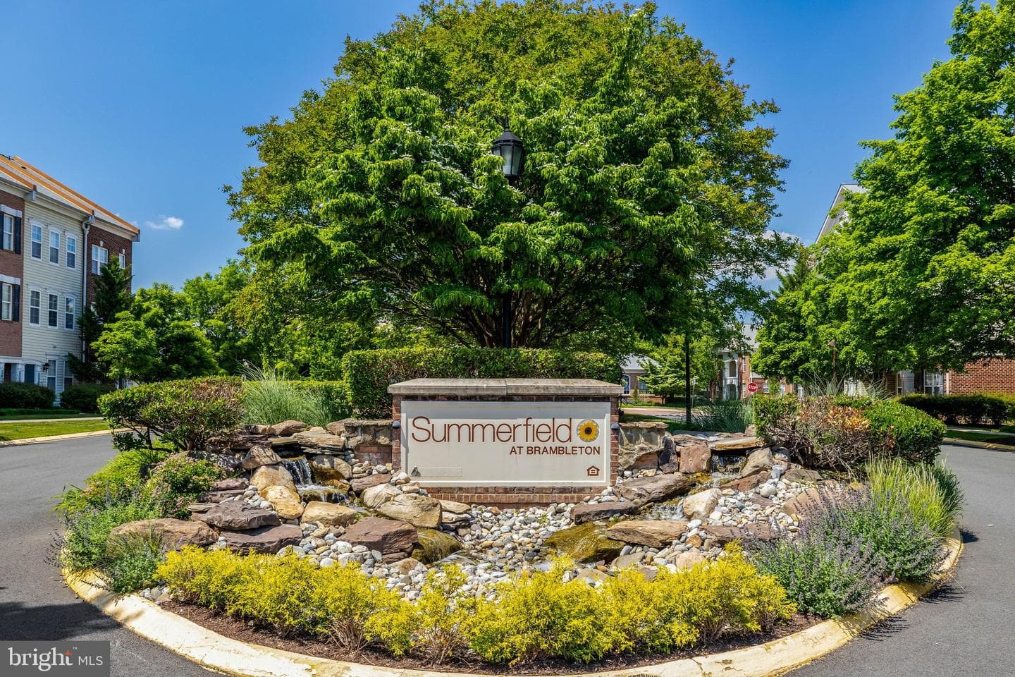 42421 Rockrose Square #101