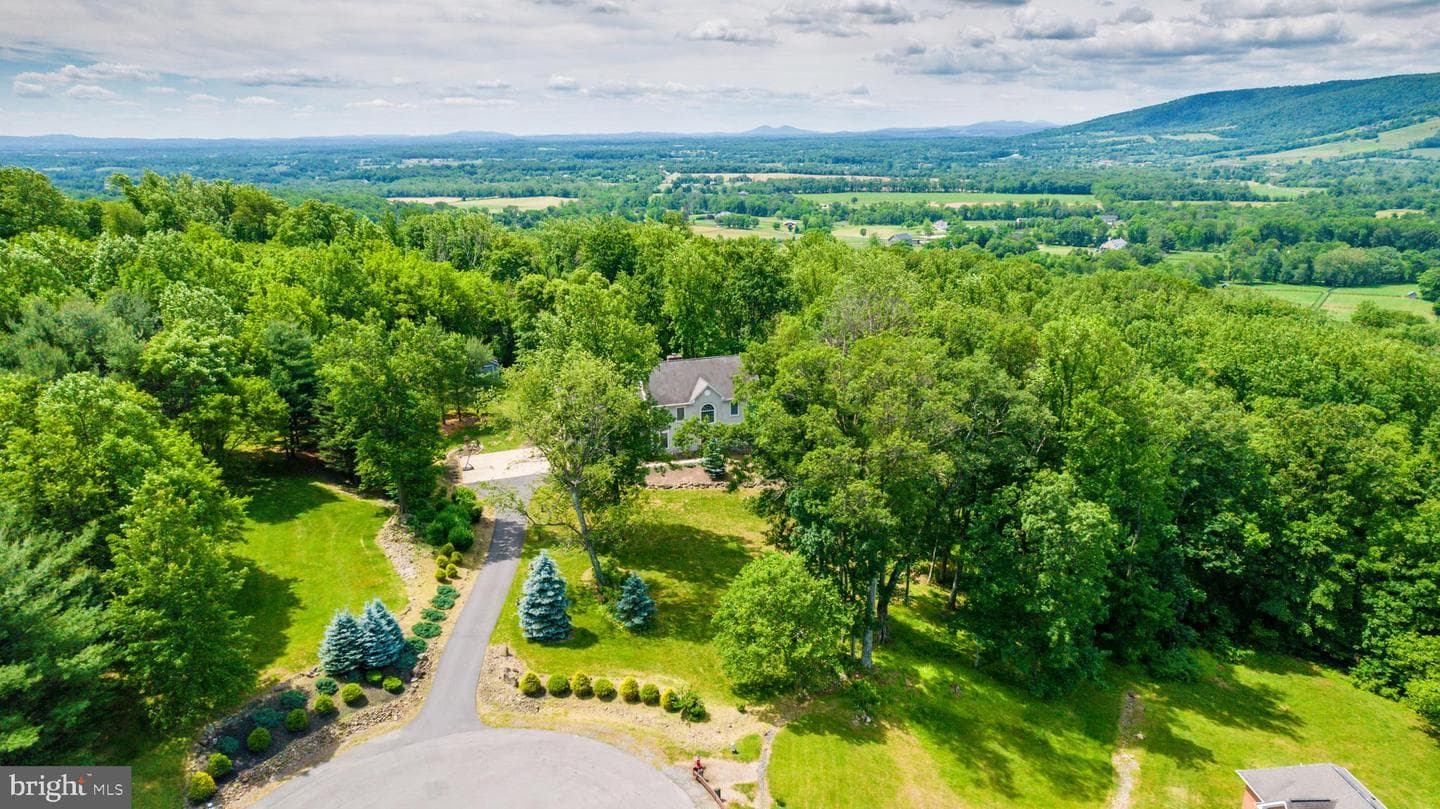 34905 Gidney Court