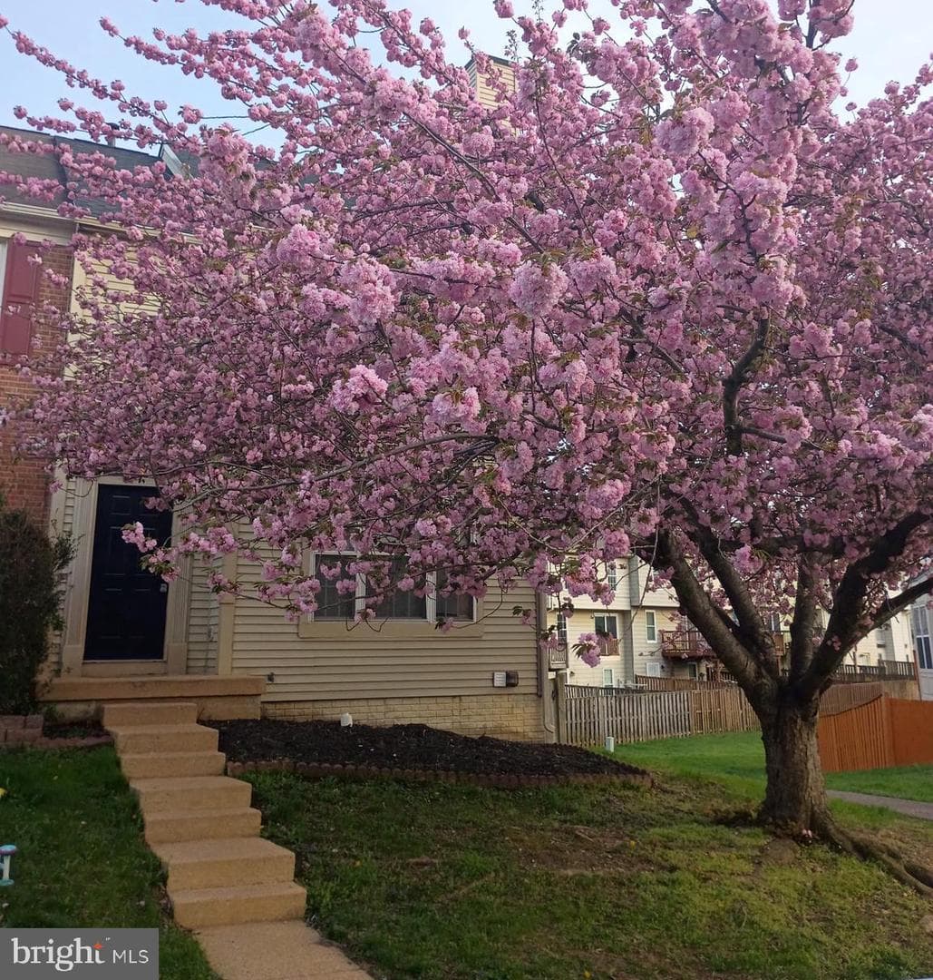 3429 Tuckahoe Court photo 1