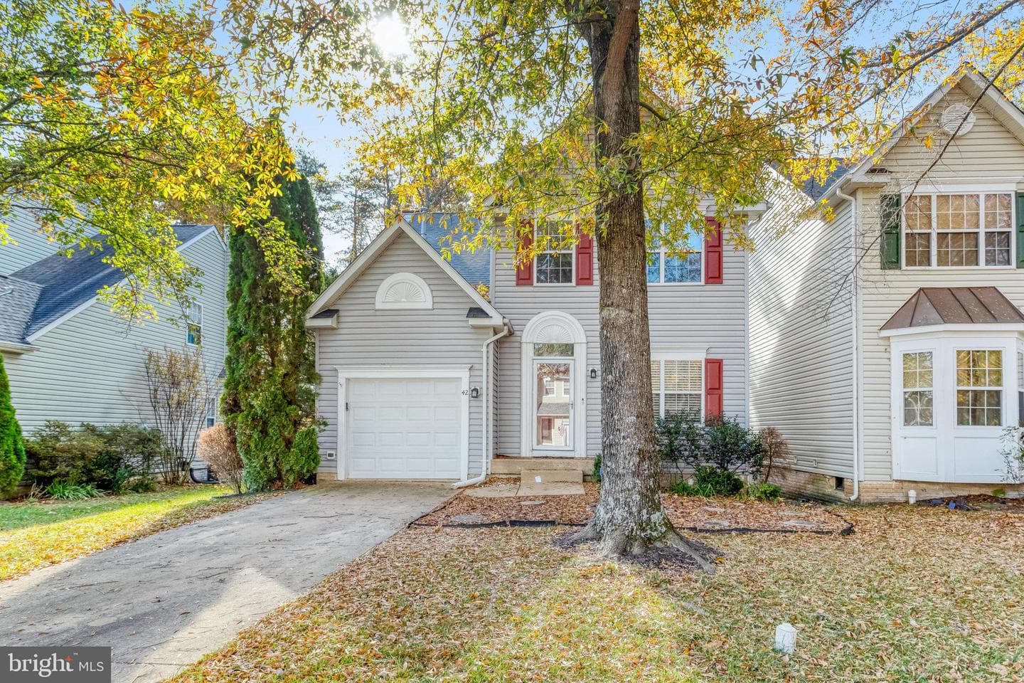 42 Catherine Lane photo 1