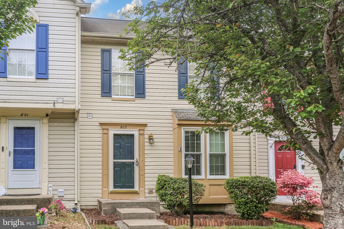 803 Sedgwick Court