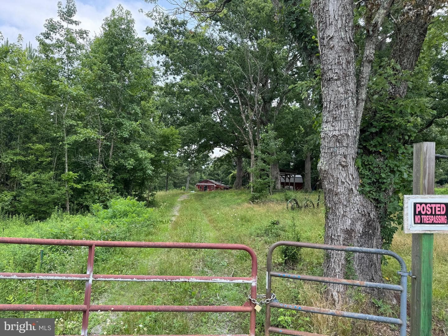 7175 Beef Steak Road photo 1