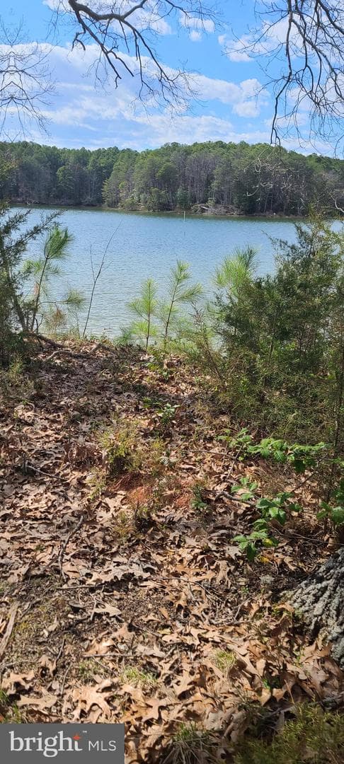 922 Skipjack Road photo 1