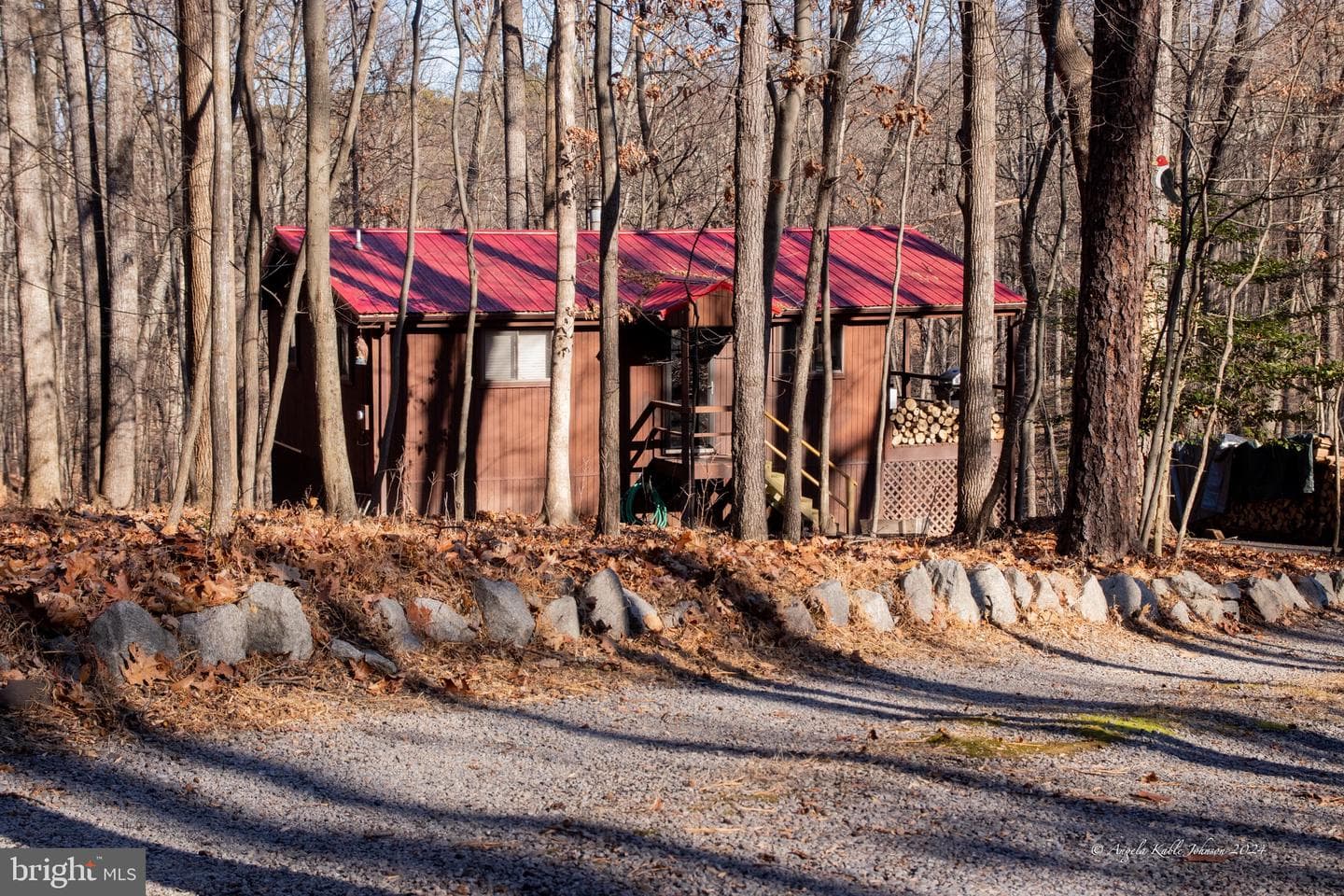254 Pileated Woodpecker Lane photo 1