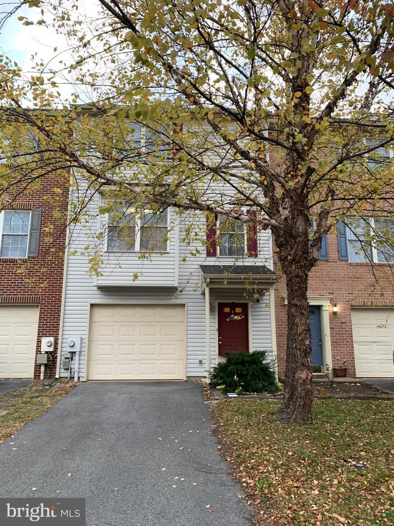 53 Effie Lane photo 1