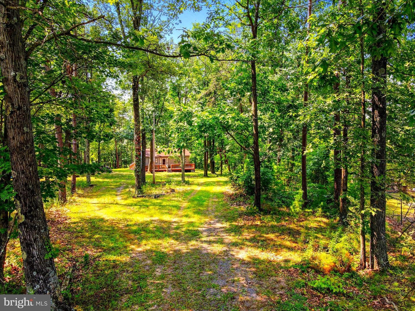 1306 Crest Haven Road photo 1