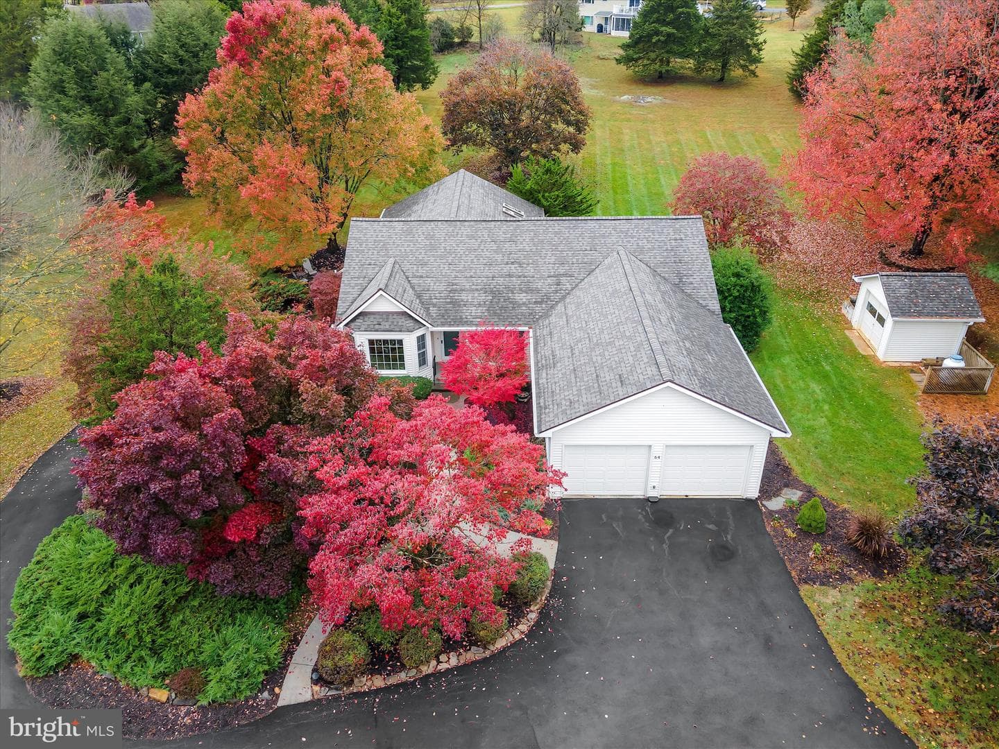 64 Wildflower Lane photo 1