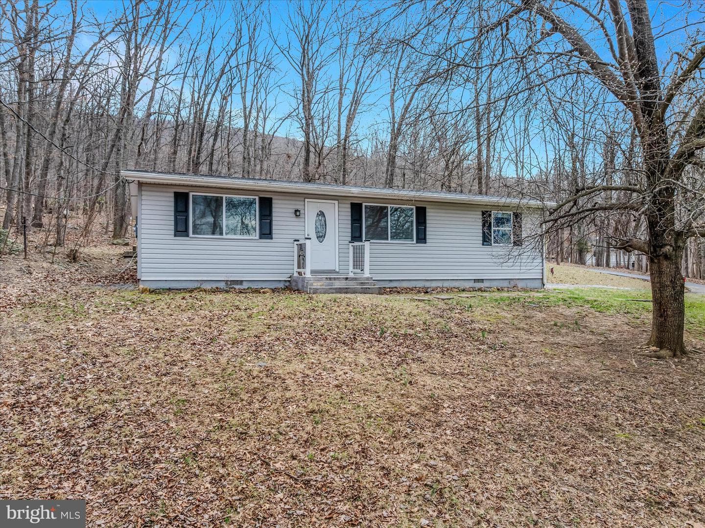 771 Gray Fox Road photo 1