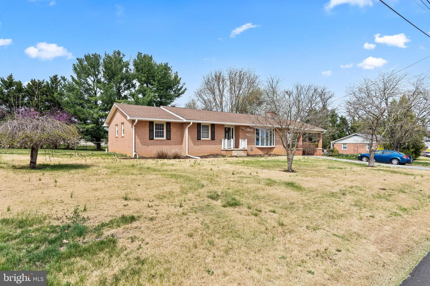 169 Belvedere Drive